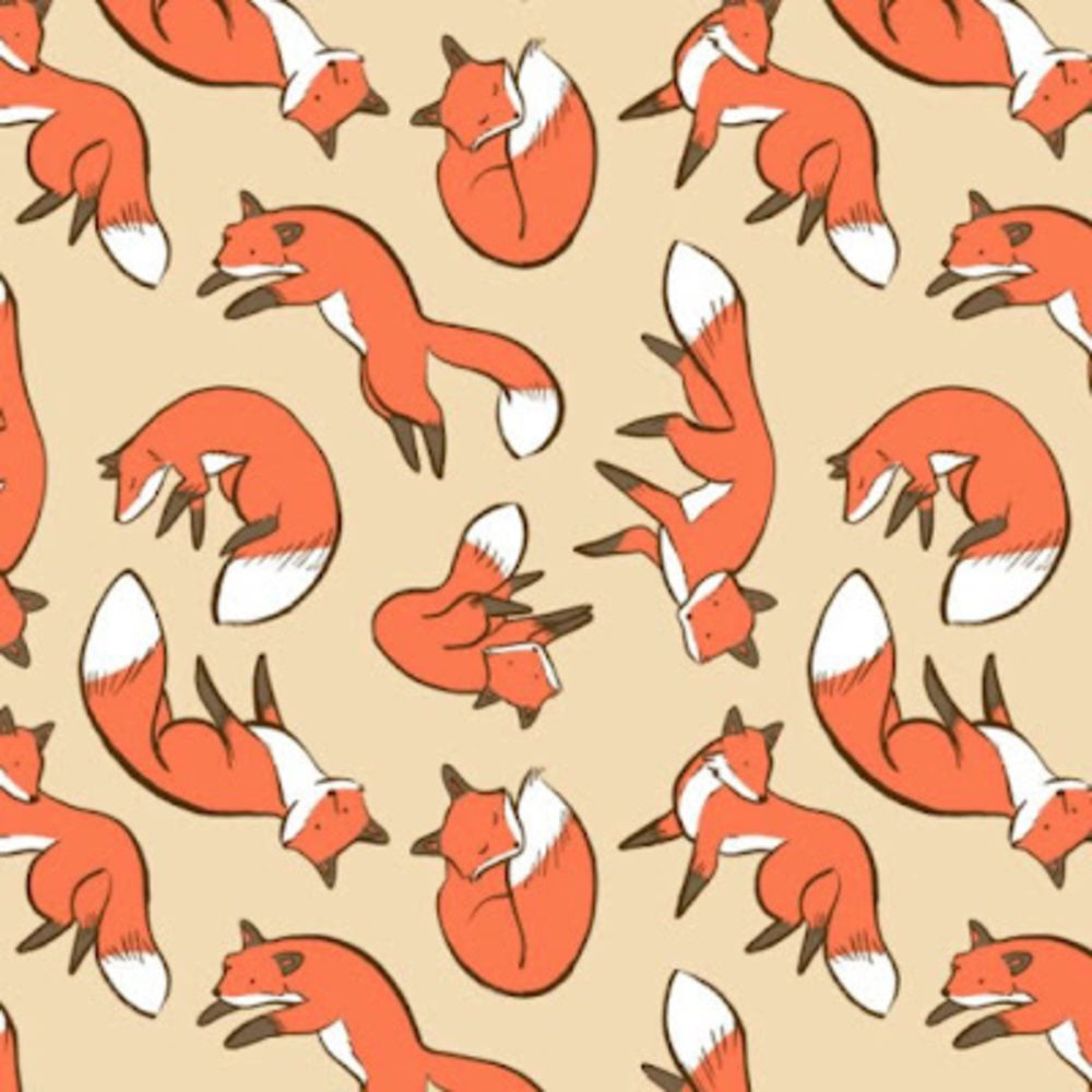 Meet your Posher, Thunderspyder